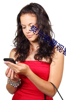 爽片免(miǎn)费观看网(wǎng)站