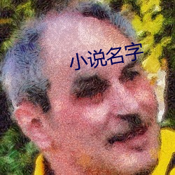 小说名字