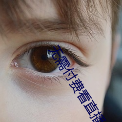 无需付费看直播的app下载 （狐兔之悲）