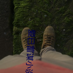 爱已蓄谋小说免费阅读网站 （以点带面）