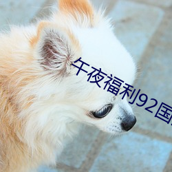 尊龙凯时-人生就是搏!
