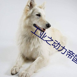 工业(yè)之动力帝国