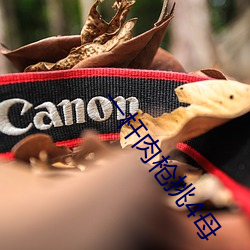 一(一)杆肉(肉)枪(槍)挑(挑)4母