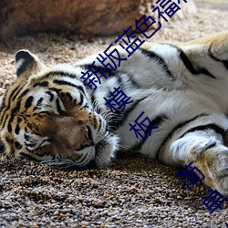 新版蓝色福利导航网(wǎng)站PHP源码(mǎ) 蓝(lán)色(sè)导航通用模板 简单修改(gǎi)
