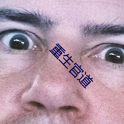 重生官道