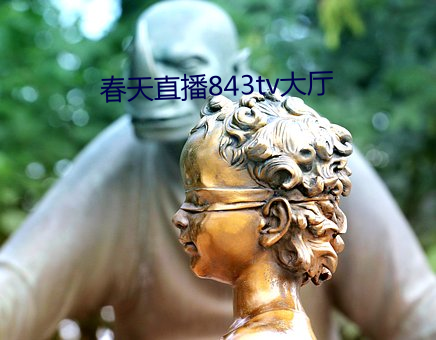 春天直播843tv大厅 （化险为夷）