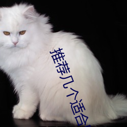 推薦幾個適合晚上看的2023