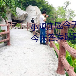 小雞莊園今天答案5.21 小雞莊園今天答案最新正確答案2022