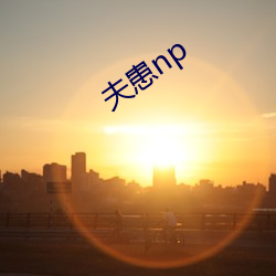 夫患np