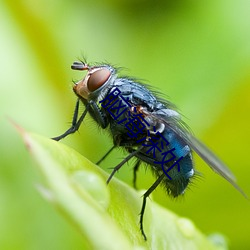 脑海深处(處)