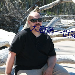 大唐第一世家 （射鱼指天）