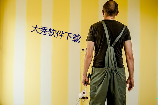 大秀軟件下載