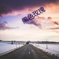 黑色(sè)玫(méi)瑰