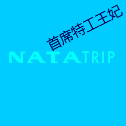 首席特工王妃