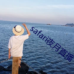 safari夜月直(直)播