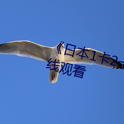 《日本1卡2卡卡3卡乱(luàn)码》免(miǎn)费在线观看