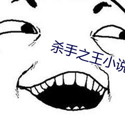 杀手之王小说