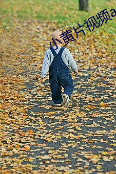 小黄片视频(頻)app下(下)载