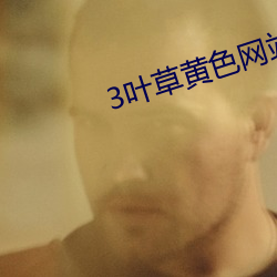 3叶草黄色网站