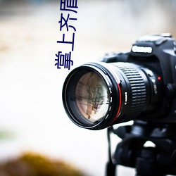 掌上齐眉全文免费阅读