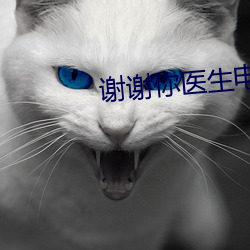 謝謝你醫生電視劇免費觀看