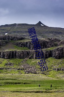 藏(藏)精阁污(汙)污污(汙)