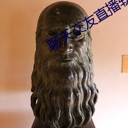 聊天交友直播软件
