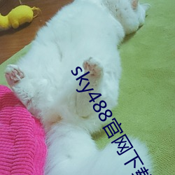 sky488官網下載地址