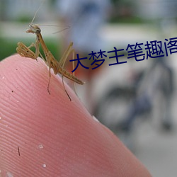 大梦(夢)主笔趣阁