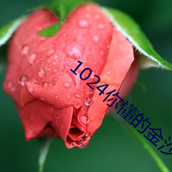 1024你懂的金沙人妻一区 （神焦鬼烂）