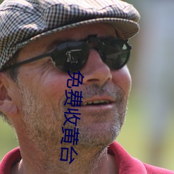 免(miǎn)费(fèi)收黄台