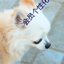 会员个性(xìng)化软件