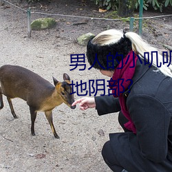 男人的小叽叽可不(bù)可以(yǐ)插进女性地阴部?