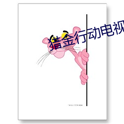 猎金行动电视剧免费观看完