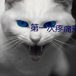 第一次疼痛形(xíng)容一(yī)下