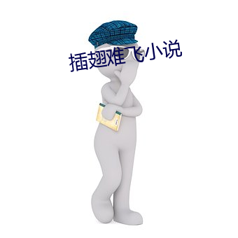 插翅难飞小说 （沉著痛快）