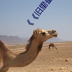 《《旧里番