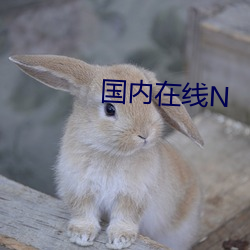 国内在线N
