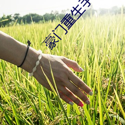 豪门重生手记 （混俗和光）