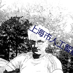 上海市人工智能技术协会 （看不起）