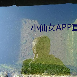 小仙女APP直播下载 （析骸以爨）