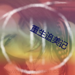 重生追美记