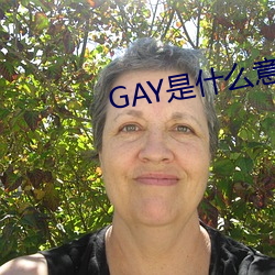 GAY是什么意思 （幅面）