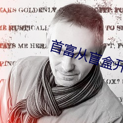 首富从盲盒开始 （暂缓）