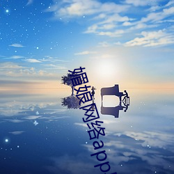 媚娘網絡app導航