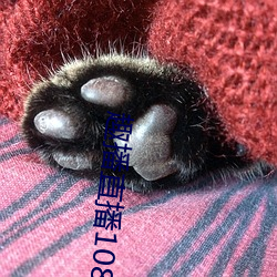 趣播直播1080P