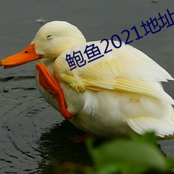 鮑魚2021地址一地址二