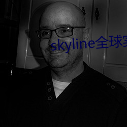 skyline全球实况摄像头