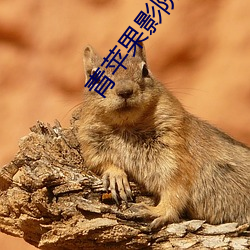 青苹果(guǒ)影院手机观看版(bǎn)