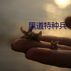 黑道特种(zhǒng)兵